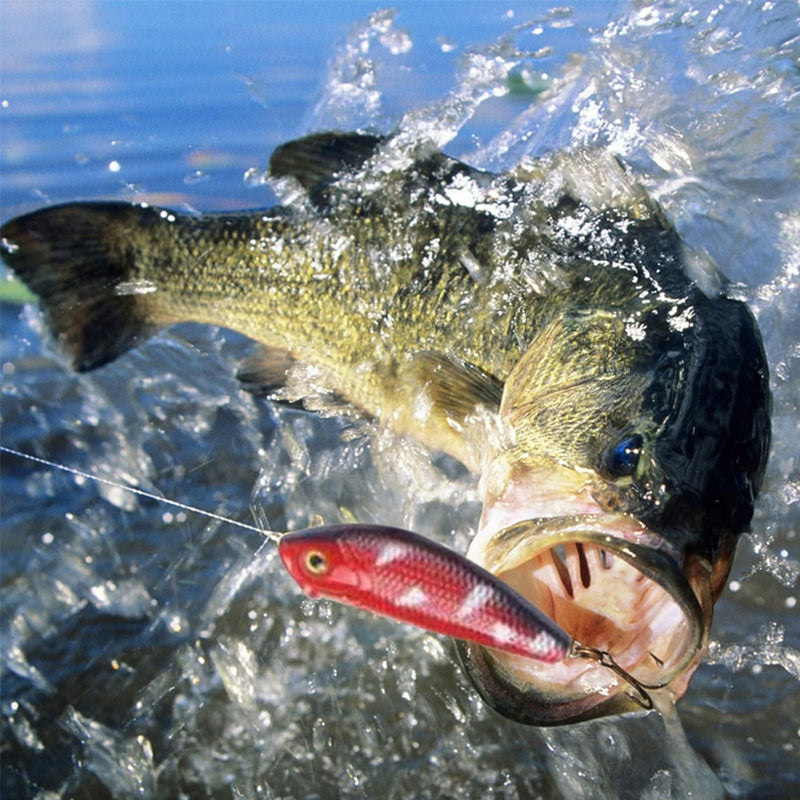 24-dagars nedräkningskalender för fiskebete och fiskeredskap