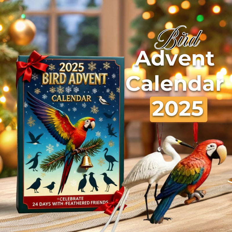 🎄🕊️ Vogel Adventskalender 2025
