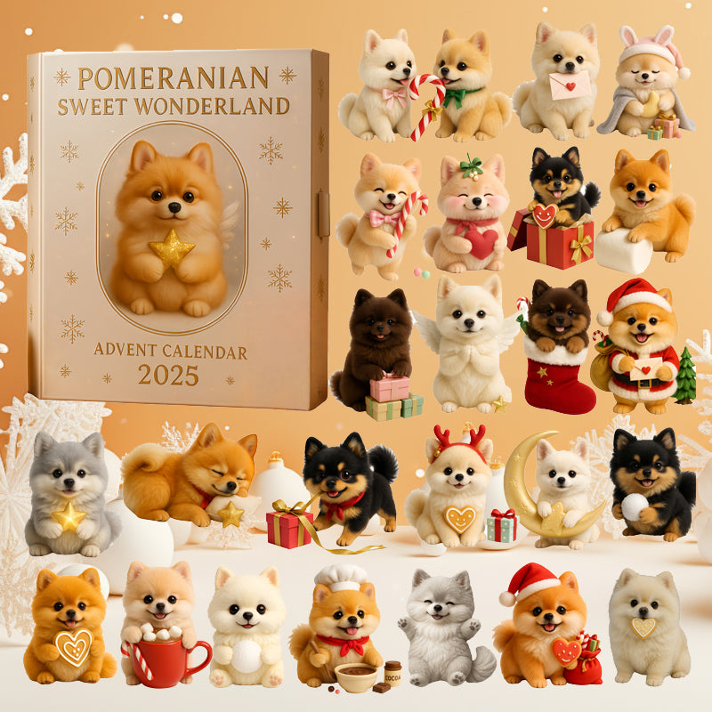 🐾✨ Pomeranian Sweet Wonderland Adventskalender 2025